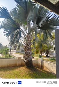 Balcony Image of 1600 Sq.ft 3 BHK Independent House for rent in Lambhvel Anand for Rs. 16500