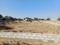 shyam vihar Plot View 2