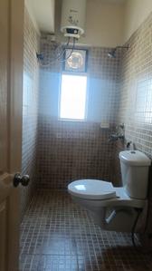 Image of 1400 Sq.ft 3 BHK Apartment / Flat for sale in Paras Tierea, Sector 137, Noida for Rs. 13000000