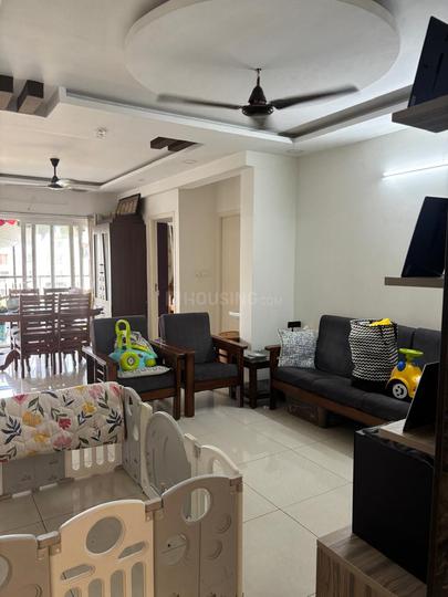 Radiance The Pride Main Image 1