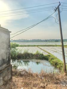 Image of 21780 Sq.ft Residential Plot / Land for sale in Cherpu, Thrissur for Rs. 7500000