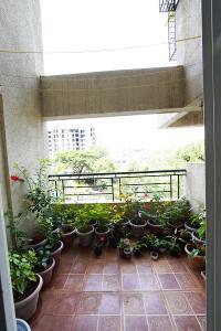Balcony Image of 896 Sq.ft 2 BHK Apartment / Flat for sale in Ambegaon, Ambegaon Pune for Rs. 5700000