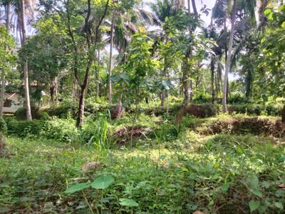 Image of 13068 Sq.ft Residential Plot / Land for sale in Perambra, Kozhikode for Rs. 3000000