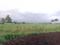 Punade Plot View 2