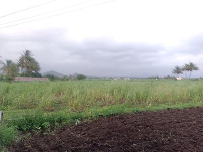 Punade Plot View 2