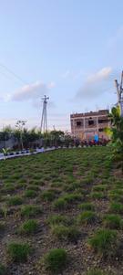 Image of 1406 Sq.ft Residential Plot / Land for sale in Bhilai Marshalling Yard, Charoda for Rs. 2390200