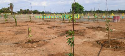 Image of 10410 Sq.ft Residential Plot / Land for sale in Chengalpattu, Chennai for Rs. 3747600