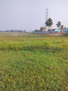 Vignesh Nagar Plot View 2