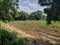 Aarohi Plots Plot View 1