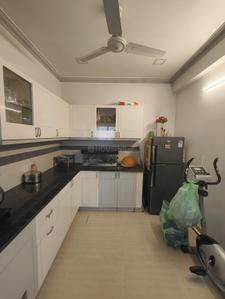 Kitchen Image of 1118 Sq.ft 2 BHK Apartment / Flat for sale in Tanzeel Chalet, Elamkulam Kochi for Rs. 8000000
