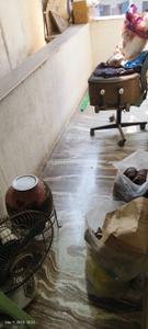 Balcony Image of 1200 Sq.ft 2 BHK Builder Floor for rent in Kondhwa Pune for Rs. 20000