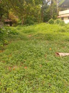 Image of 8712 Sq.ft Residential Plot / Land for sale in Amalanagar, Thrissur for Rs. 9600000