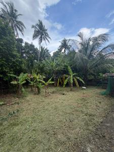 Image of 3267 Sq.ft Residential Plot / Land for sale in Kuttoor, Thrissur for Rs. 515000