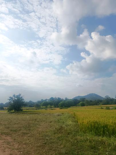 Agriculture Colony Main Image 1