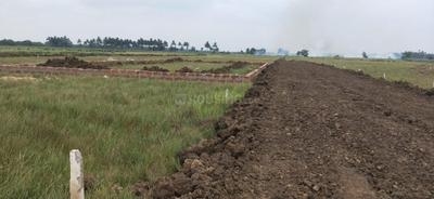 Image of 1300 Sq.ft Residential Plot / Land for sale in Atharanala, Puri for Rs. 1300000