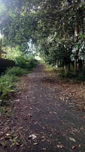 Image of 242 Sq.ft Residential Plot / Land for sale in Chottanikkara, Kochi for Rs. 2600000