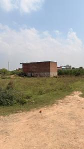 Image of 800 Sq.ft Residential Plot / Land for sale in Joura, Morena for Rs. 1600000