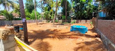 Image of 5009 Sq.ft Residential Plot / Land for sale in Poochatty, Thrissur for Rs. 5175000