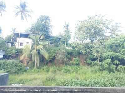 Thazhuthala Plot View 3