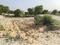 Pandav Nagar Plot View 1