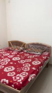 Bedroom Image of 1500 Sq.ft 3 BHK Apartment / Flat for rent in Dollar Eden Garden, Rau Indore for Rs. 26000