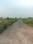Wander Valley Internal Roads 2
