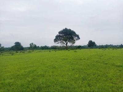 Image of 56736 Sq.ft Residential Plot / Land for sale in Murbad, Thane for Rs. 7300000