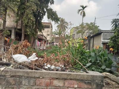 Agarpara nabogram Plot View 3