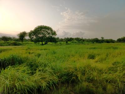 Image of 1089 Sq.ft Residential Plot / Land for sale in Ranjanpada, Navi Mumbai for Rs. 1250000