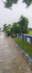 Image of 1100 Sq.ft Residential Plot / Land for sale in Nevta Village, Jaipur for Rs. 3450000
