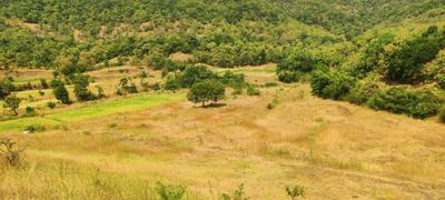 Image of 1000 Sq.ft Residential Plot / Land for sale in Bhor, Pune for Rs. 172000