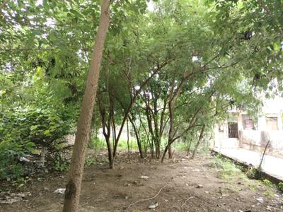 Image of 4500 Sq.ft Residential Plot / Land for sale in Sector 14, Faridabad for Rs. 125000000