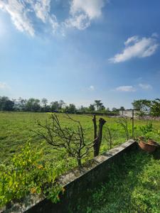 Image of 8100 Sq.ft Residential Plot / Land for sale in Thano, Dehradun for Rs. 27800000