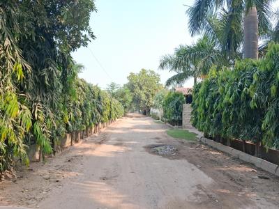 Image of 9072 Sq.ft Residential Plot / Land for sale in Dkrrish Green Beauty Farms, Sector 135, Noida for Rs. 9000000