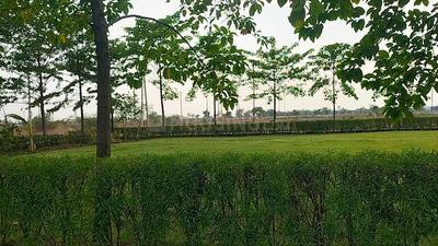 Image of 1000 Sq.ft Residential Plot / Land for sale in Amleshwar, Raipur for Rs. 1200000