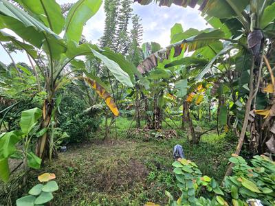 Image of 10875 Sq.ft Residential Plot / Land for sale in Kakkanad, Kochi for Rs. 26000000