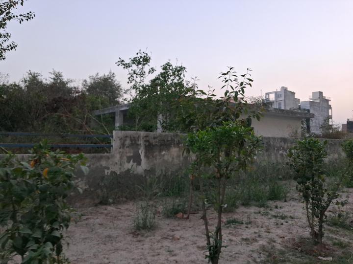 Asgerpur Main Image 1