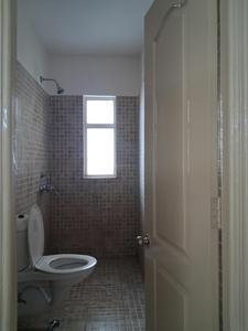Common Bathroom Image of 1564 Sq.ft 3 BHK Apartment / Flat for sale in Paras Tierea, Sector 137 Noida for Rs. 13000000
