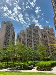 Image of 1750 Sq.ft 3 BHK Apartment / Flat for rent in ACE Parkway, Sector 150, Noida for Rs. 45000