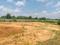 MS Developers Plot View 2