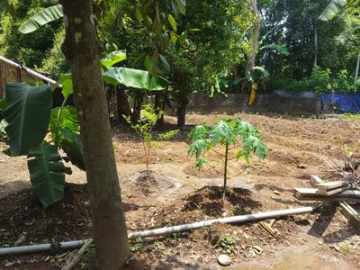 Image of 4785 Sq.ft Residential Plot / Land for sale in Kalady, Kochi for Rs. 6050000