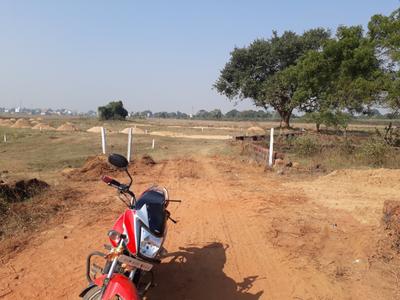 Poparada Plot View 2