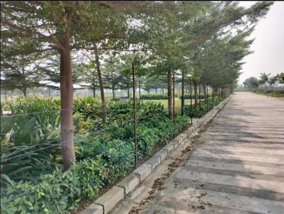 Image of 2152 Sq.ft Residential Plot / Land for sale in Pintail Park City, Sultanpur Road, Lucknow for Rs. 20000000