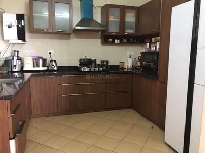 Kitchen Image of 1950 Sq.ft 3 BHK Apartment / Flat for rent in Sobha Habitech, Whitefield Bengaluru for Rs. 75000