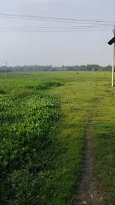 Agricultural Land