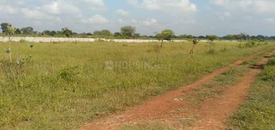 Image of 1760 Sq.ft Residential Plot / Land for sale in Bodri, Bilaspur for Rs. 2640000