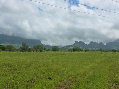 Image of 1000 Sq.ft Residential Plot / Land for sale in Khambale, Trimbakeshwar, Nashik for Rs. 5550000