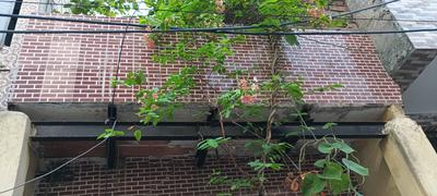 Balcony Image of 247 Sq.ft 2 BHK Independent House for sale in Kirari Suleman Nagar New Delhi for Rs. 2700000