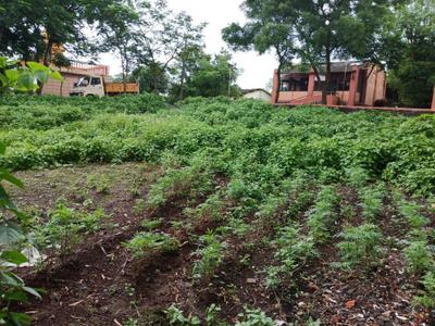 Image of 16880 Sq.ft Residential Plot / Land for sale in Kalyan West, Kalyan for Rs. 4000000