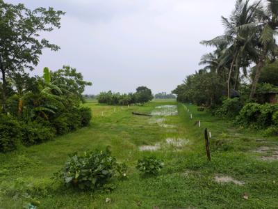 Golden city 2 plot project Plot View 2